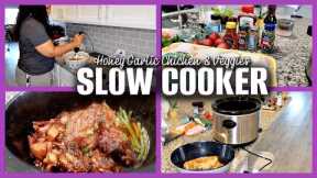 STEP-BY-STEP Honey Garlic Chicken and Vegetables Recipe | Slow Cooker Meal!