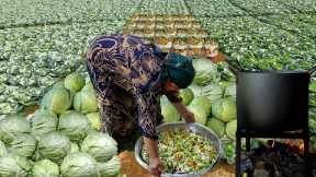 Vegetable Garden - Cabbage Harvest and Preserving for Winter