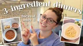 3 Ingredient Dinners // quick 10 minute recipes that taste GOOD