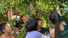 yummy.....pickled guava for Eating hot chili and salt | guava on the chili salt  |