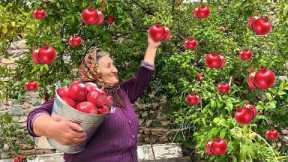Mix of Pomegranate Jam, Traditional Desserts and Food Recipes!