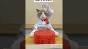 How every Chef be like 😂 #thatlittlepuff #cooking #hacks