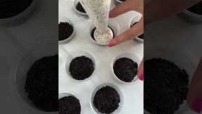 Cookies and cream dessert cups! #dessert #oreo #nobake