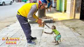 Monkey Kaka is very good, her goes to get the goods himself.