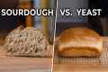 Sourdough vs. “Normal” Bread. What’s